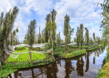 Piden declarar chinampas como patrimonio cultural