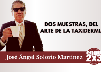 Dos muestras, del arte de la taxidermia