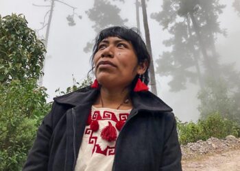 Desaparece Irma Galindo Barrios, defensora del medio ambiente en Oaxaca
