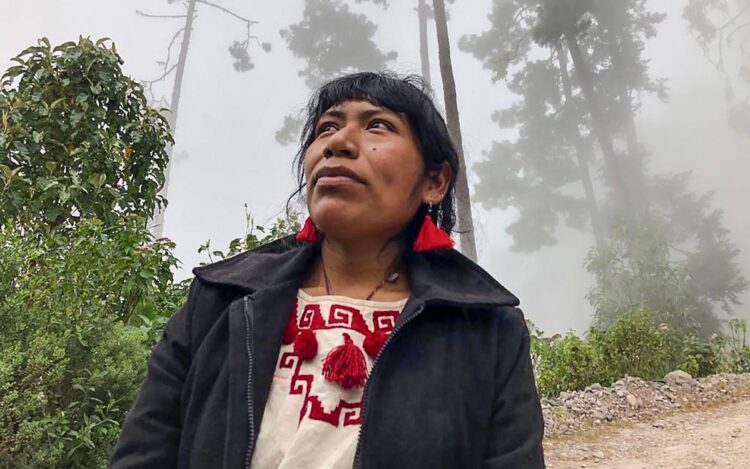 Desaparece Irma Galindo Barrios, defensora del medio ambiente en Oaxaca