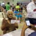 Llamado urgente a canje de tarjetas vencidas del Programa Pensión para Adultos Mayores en Tamaulipas