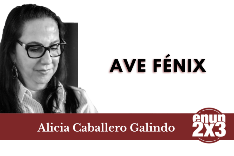 Ave Fénix
