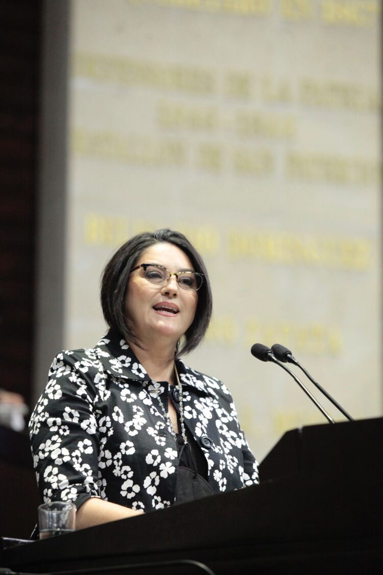 Aprueba Cámara de Diputados  iniciativa de Olga Elizondo para fortalecer  MYPYMES