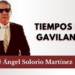 Tiempos de gavilanes