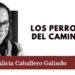 Los perros del camino 