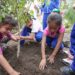 Cuidar el medio ambiente desde las escuelas