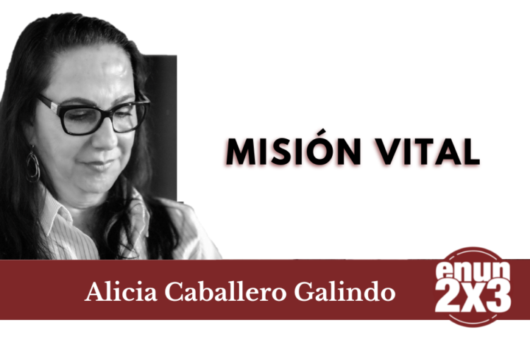 Misión vital