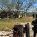 En el Gobierno de Cabeza desaparecieron 2 personas diariamente en Tamaulipas