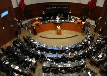 ¿Para qué sirven 89 senadores?