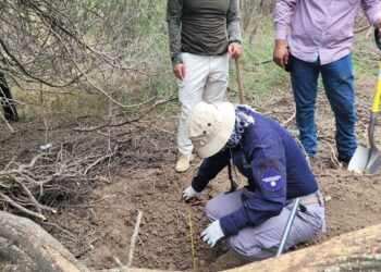 Tamaulipas, segundo lugar nacional en fosas clandestinas halladas desde 2006