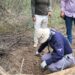 Tamaulipas, segundo lugar nacional en fosas clandestinas halladas desde 2006