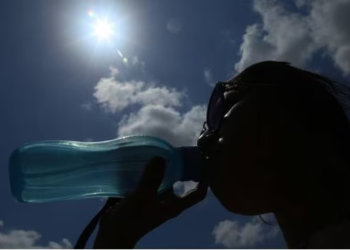 Golpe de calor: consideraciones que debes conocer en esta temporada.