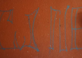 Los “cárteles” mexicanos