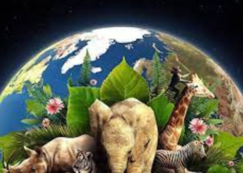 Día de la Tierra: cuándo es, por qué se fundó y desde cuándo se conmemora