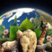 Día de la Tierra: cuándo es, por qué se fundó y desde cuándo se conmemora