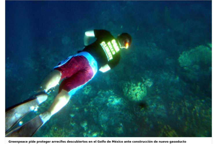 Greenpeace pide proteger arrecifes descubiertos en el Golfo de México ante construcción de nuevo gasoducto