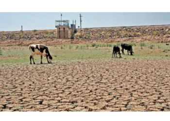 Almacenamiento de agua en las presas de México, a 41%
