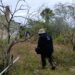 Con Cabeza hubo más desapariciones y homicidios en primeros 9 meses de gobierno