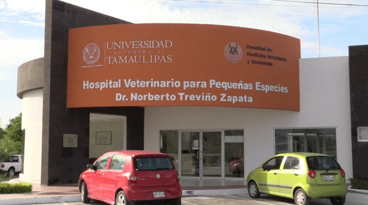 Hospital veterinario de la UAT ofrece servicios de calidad a bajo costo