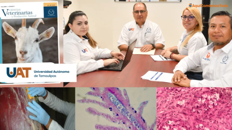 La UAT lanza la primera edición de la revista Ciencias Veterinarias y Producción Animal