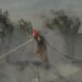 Atiende Gobierno de Reynosa incendios provocados
