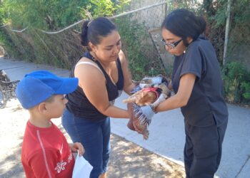 Marcha programa “EcoPatas” en Reynosa