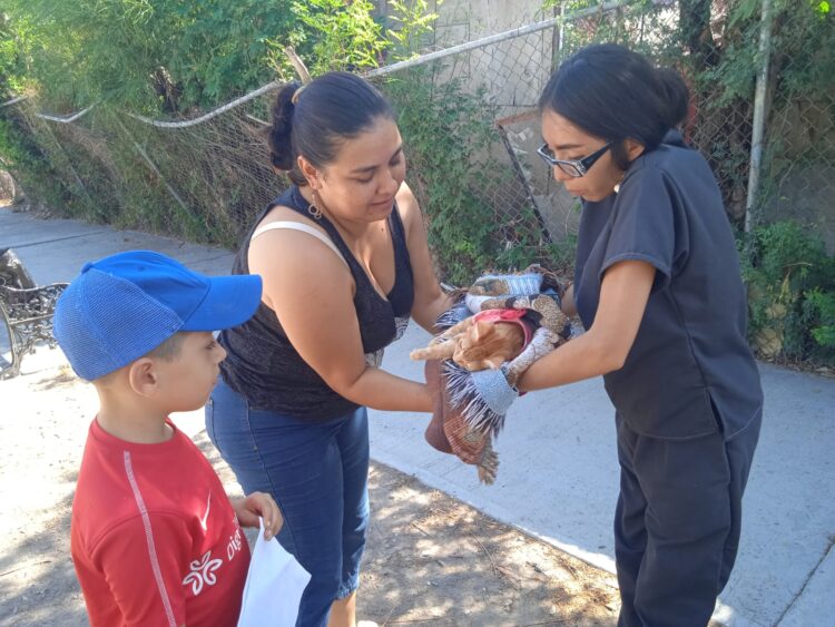 Marcha programa “EcoPatas” en Reynosa
