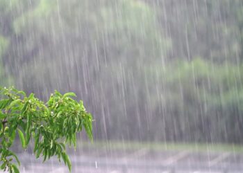 Registra Tamaulipas en una noche de media a tres pulgadas de lluvias