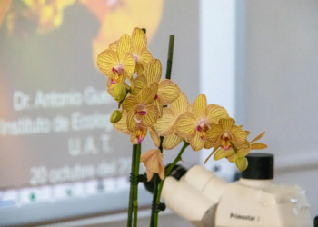 Promueve UAT el cultivo y conservación de orquídeas
