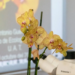 Promueve UAT el cultivo y conservación de orquídeas