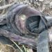 Suman ocho los cuerpos encontrados en cocina clandestina en Reynosa. Foto de Colectivo Amor por los Desaparecidos