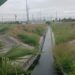 Gobierno de Reynosa realiza mantenimiento en avenidas