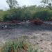 Reportan hallazgo de restos humanos en Casas, Tamaulipas
