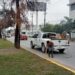 Continúa municipio embelleciendo la ciudad