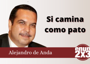 Si camina como pato