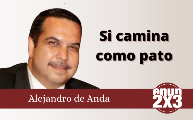 Si camina como pato