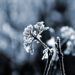 Recomendaciones ante llegada del frente frío 27. Foto de Unsplash