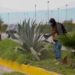 Repara Gobierno de Reynosa infraestructura urbana