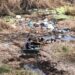 Rescatan cuerpo de migrante en el río Bravo