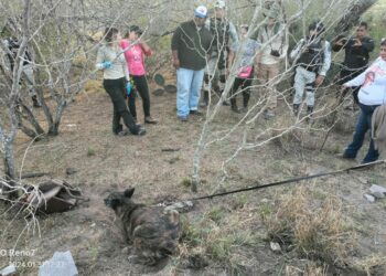 Van tres hallazgos de restos óseos en el año en Reynosa