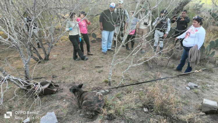 Van tres hallazgos de restos óseos en el año en Reynosa
