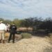 Reportan diariamente al menos 2 tomas clandestinas o huachicol en Tamaulipas