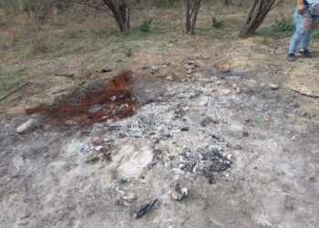 Encuentran restos calcinados de 2 personas en brecha de Reynosa