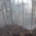 Incendio en Hidalgo provoca afectaciones en 180 hectáreas