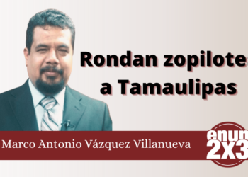 Rondan zopilotes a Tamaulipas