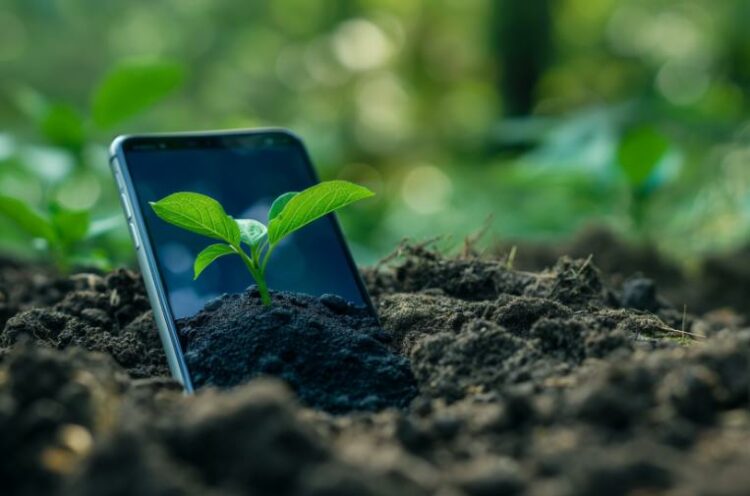 Cinco ‘ecoapps’ para cuidar el medio ambiente este 2024