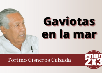 Gaviotas en la mar