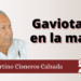 Gaviotas en la mar