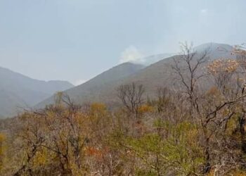 Detectan humo en área del Cañón del Novillo