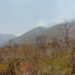Detectan humo en área del Cañón del Novillo
